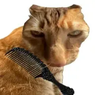 ��è��ë(è��ë������Ϸ)