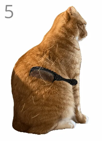 ��è��ë(è��ë������Ϸ)