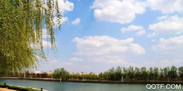 �����ý(��������ƽ̨)