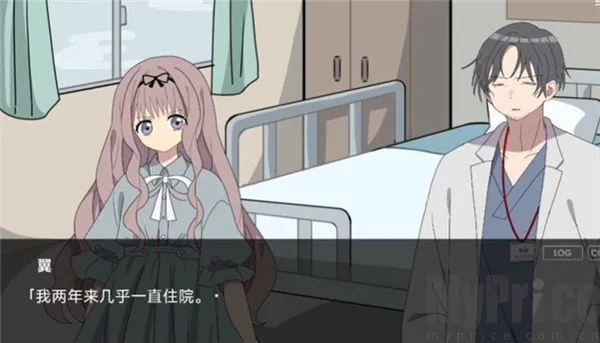 ����2026���°汾