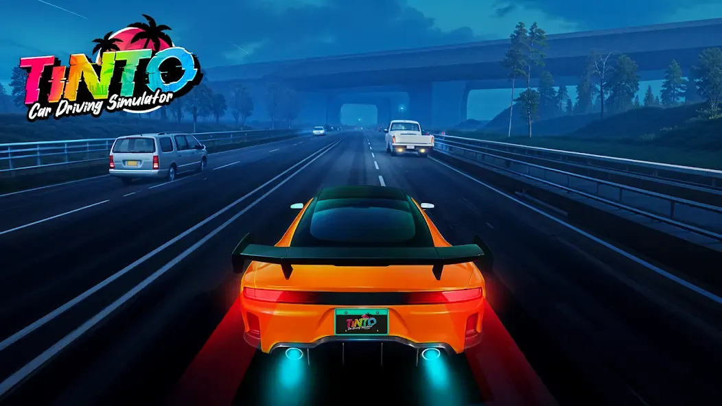 ͡��������ʻģ����ȥ���(������ʻ��Ϸ)v0.1.14 �ٷ�����