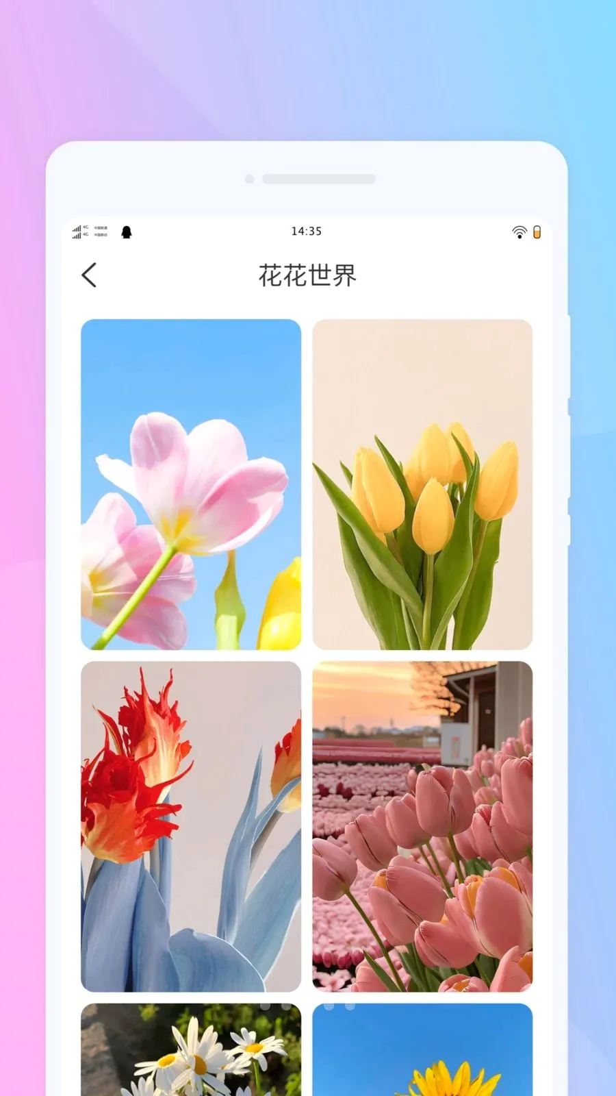 Ȥ������С���(��������APP)v1.0.0 ��Ѱ�