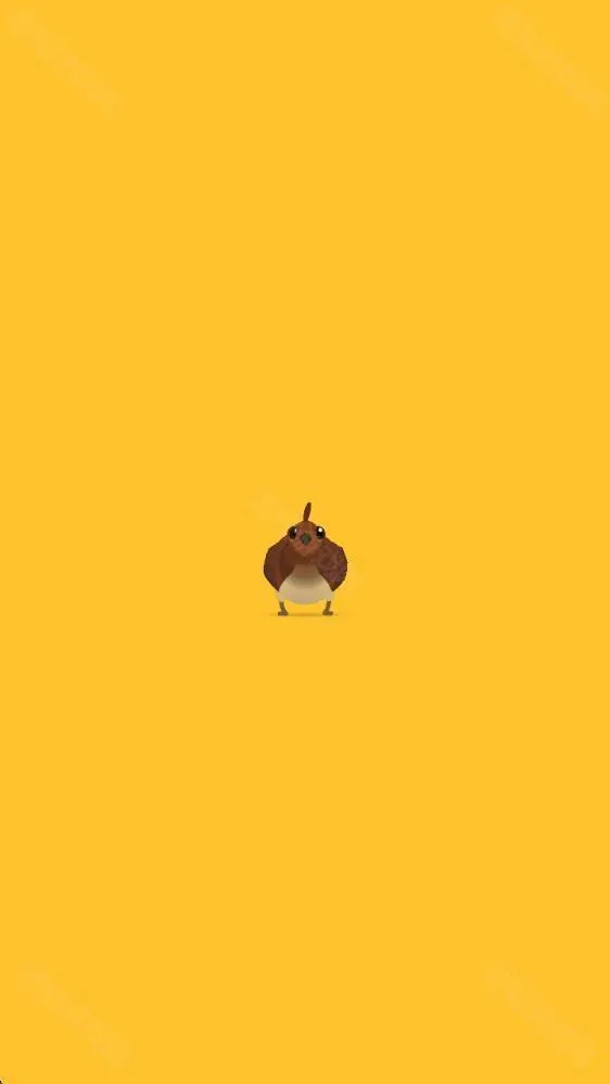 Pigeon2026�ٷ����°汾