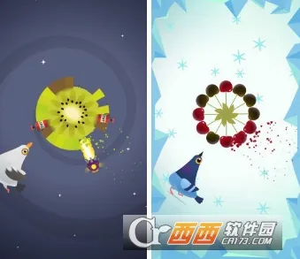 Pigeon2026�ٷ����°汾