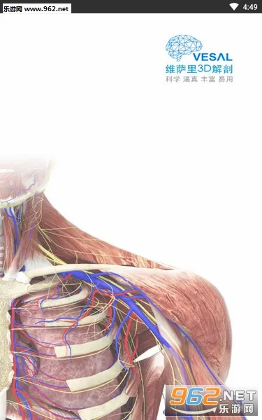 ά����3D����2026�ٷ����°汾