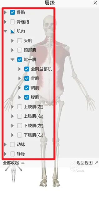 ά����3D����2026�ٷ����°汾