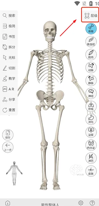 ά����3D����2026�ٷ����°汾