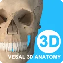 ά����3D����2026�ٷ����°汾v5.8.0 �ٷ�����