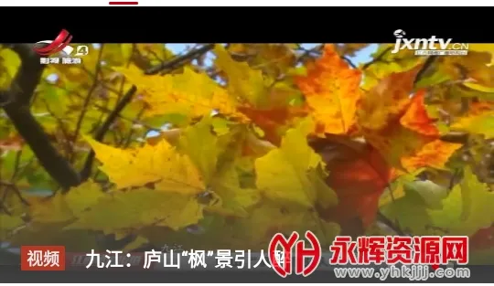 爱上修水(修水新闻服务端) 爱上修水(修水新闻服务端)