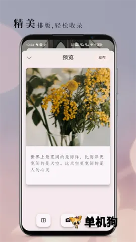 ��ժ2026�ٷ����°汾v2.9.0 ��Ѱ�