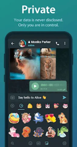 telegreat���Ĺٷ���v12.0.1 ��Ѱ�