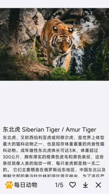 ÿ�ն��ﰲ׿���ֻ���v1.0.0 �ֻ���