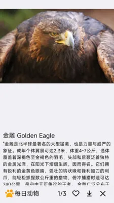 ÿ�ն��ﰲ׿���ֻ���v1.0.0 �ֻ���