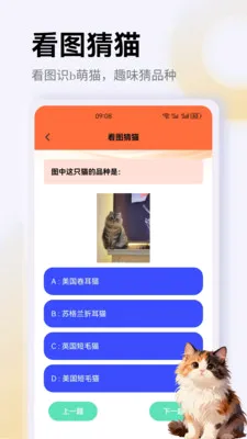 ����è��app�����ֻ���v1.3 ��׿��