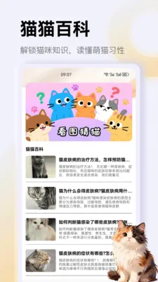 ����è��app�����ֻ���v1.3 ��׿��