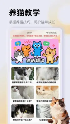 ����è��app�����ֻ���v1.3 ��׿��