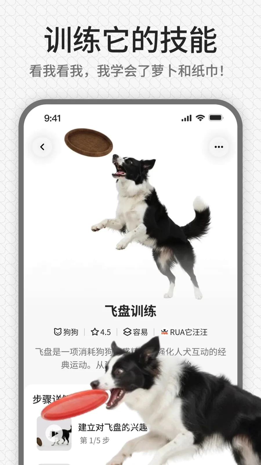 rua��(����ѵ��ƽ̨)v1.0.1 ��׿��