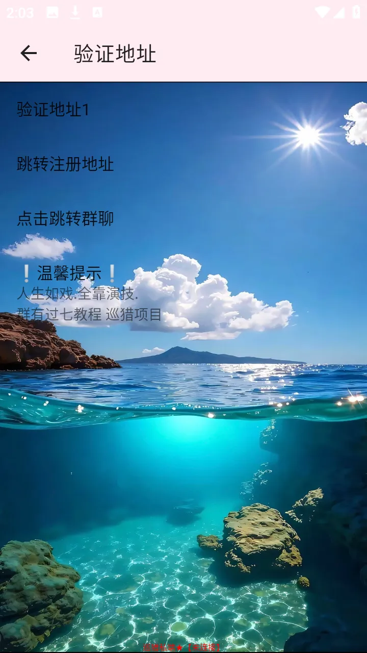 Ѳ��˽��(�����Ż�����)vѲ��˽�� �ٷ�����