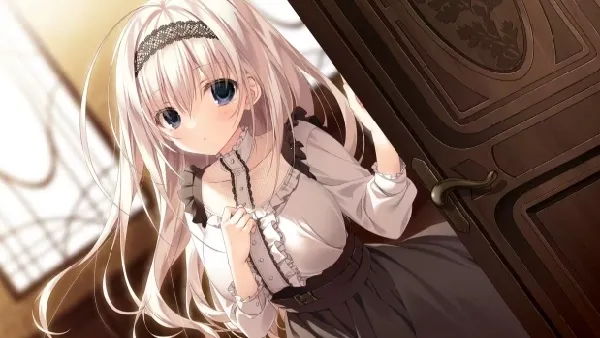 ӣ֮��(��й���)v1.0 ��׿��