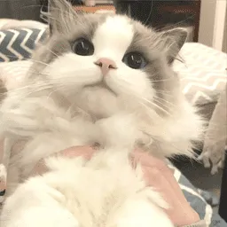 �δ����ǽ(�����Ż���ȫ����)