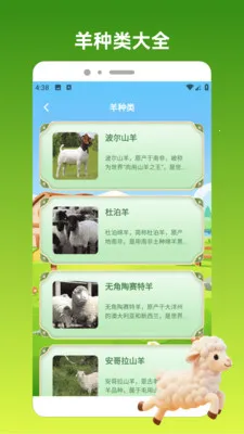 ����С��(��ֳѡ����Ϸapp)v1.3 �ֻ���