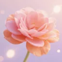 үү�İٲ��û���(�ʻ�����Ӧ��)v1.5 �ֻ��� 