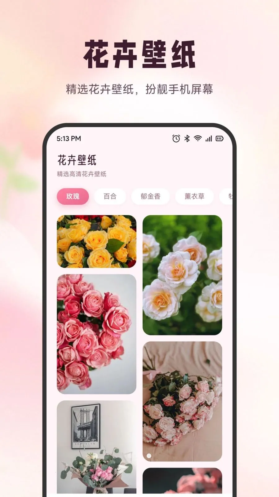 ѩ�ڻ���2026�ٷ����°汾v1.6 ��Ѱ�